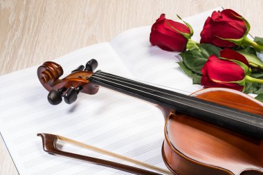 keman, gül ve müzik kitapları