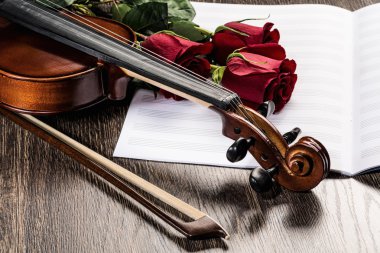 keman, gül ve müzik kitapları