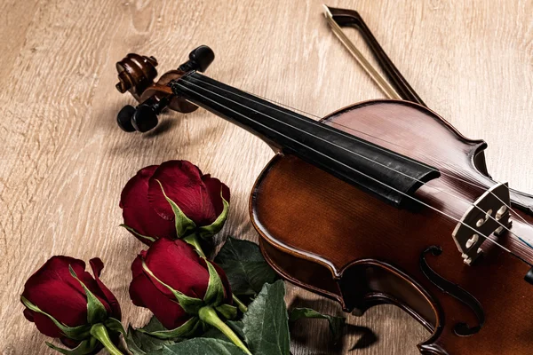Violino, rosa e livros de música — Fotografia de Stock