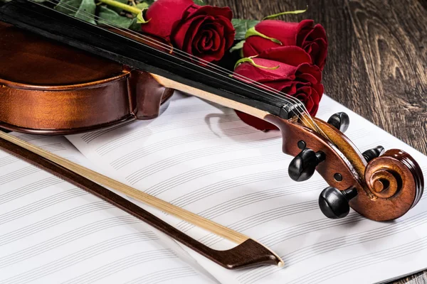 Violín, rosa y libros de música — Foto de Stock