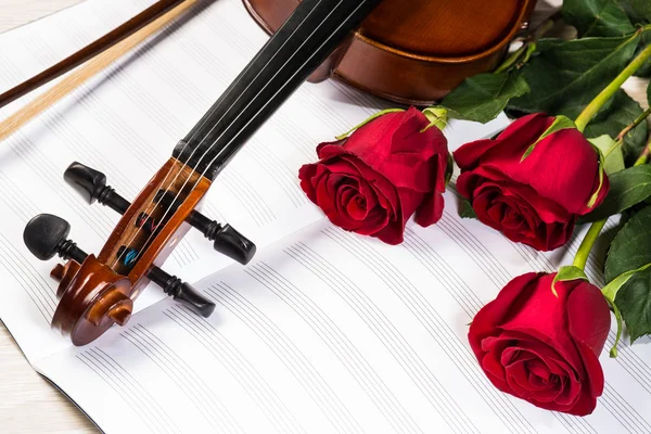 Violin, rose och musik böcker — Stockfoto