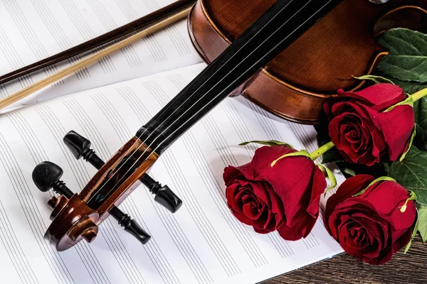 Violin, rose and music books — Stock Photo, Image