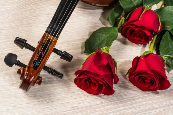 Viool, rose en muziek boeken — Stockfoto