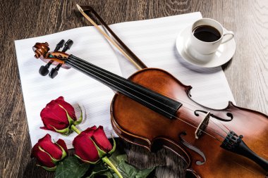 keman, rose, kahve ve müzik kitapları