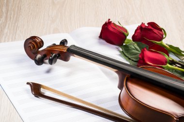keman, gül ve müzik kitapları