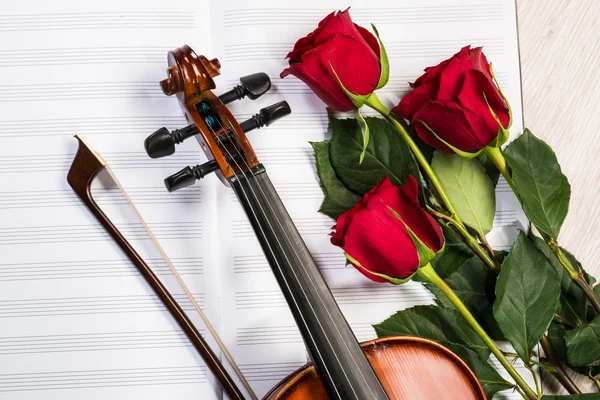 Violin, rose and music books — Stock Photo, Image