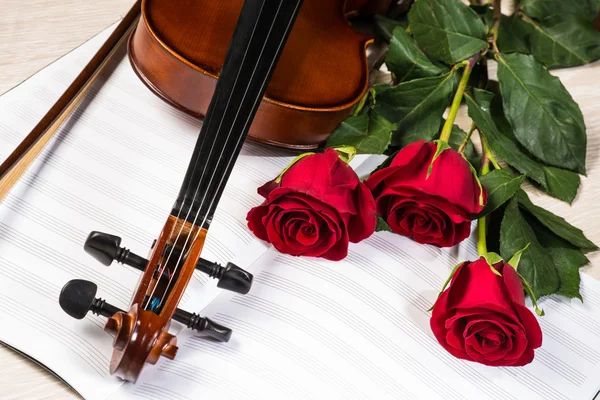 Violino, rosa e livros de música — Fotografia de Stock