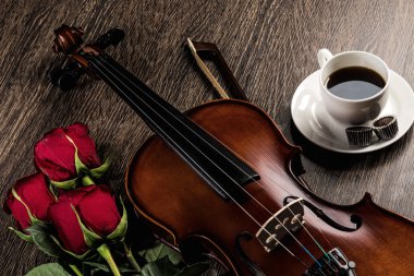 keman, rose, kahve ve müzik kitapları