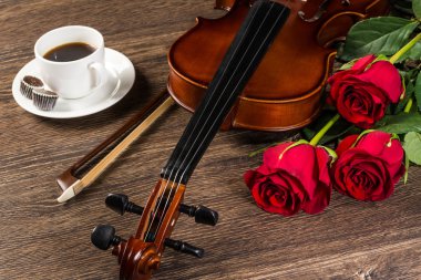 keman, rose, kahve ve müzik kitapları