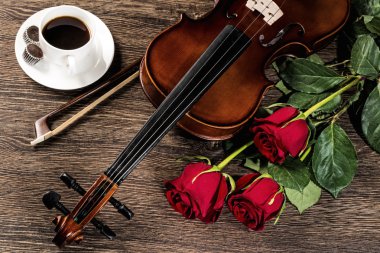keman, rose, kahve ve müzik kitapları
