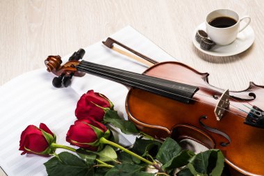 keman, rose, kahve ve müzik kitapları