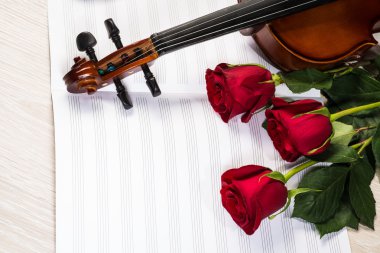 keman, gül ve müzik kitapları