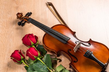 keman, gül ve müzik kitapları