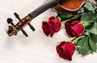 keman, gül ve müzik kitapları