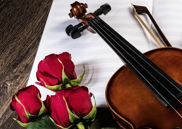 Violino, rosa e livros de música — Fotografia de Stock