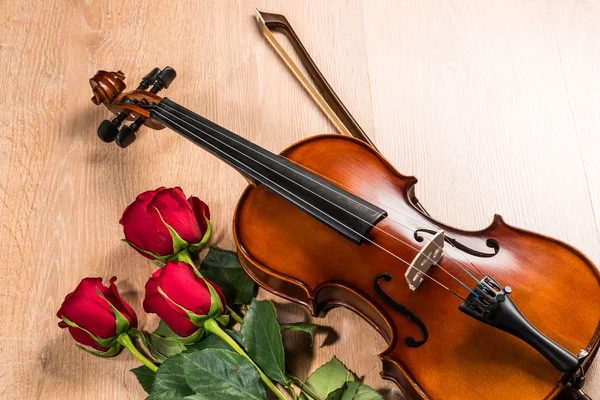 Violin, rose and music books — Stock Photo, Image