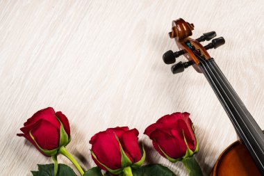 keman, gül ve müzik kitapları