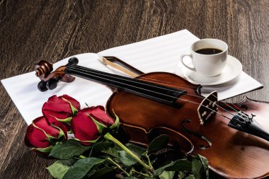 keman, rose, kahve ve müzik kitapları