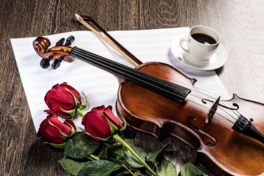 keman, rose, kahve ve müzik kitapları
