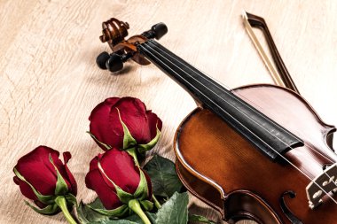 keman, gül ve müzik kitapları