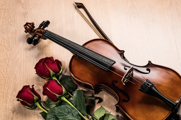 Violín, rosa y libros de música — Foto de Stock