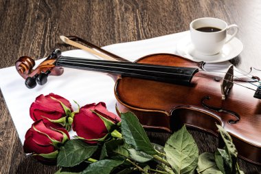 keman, rose, kahve ve müzik kitapları