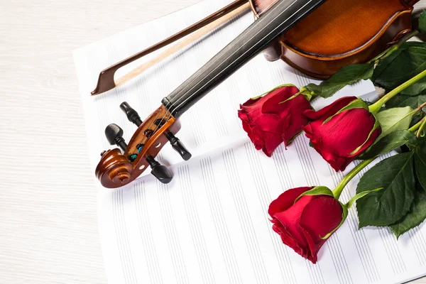 Violín, rosa y libros de música — Foto de Stock