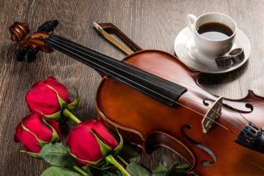 keman, rose, kahve ve müzik kitapları