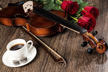 keman, rose, kahve ve müzik kitapları