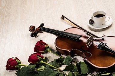 keman, rose, kahve ve müzik kitapları