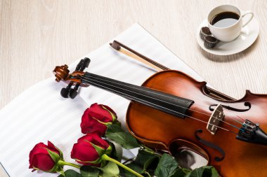 keman, rose, kahve ve müzik kitapları
