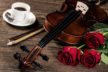 keman, rose, kahve ve müzik kitapları