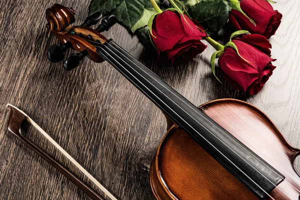 Violín, rosa y libros de música — Foto de Stock