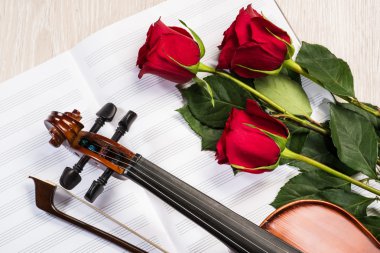 keman, gül ve müzik kitapları