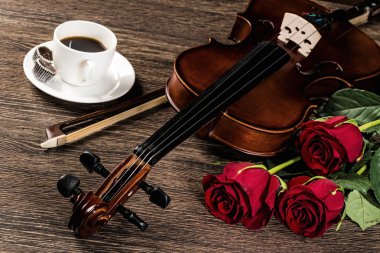 keman, rose, kahve ve müzik kitapları