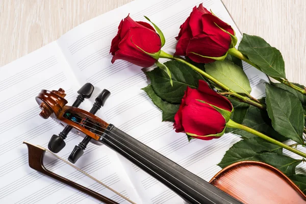 Geige, Rose und Notenbücher — Stockfoto