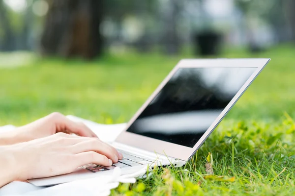 Jovem trabalhando no parque com um laptop — Fotografia de Stock