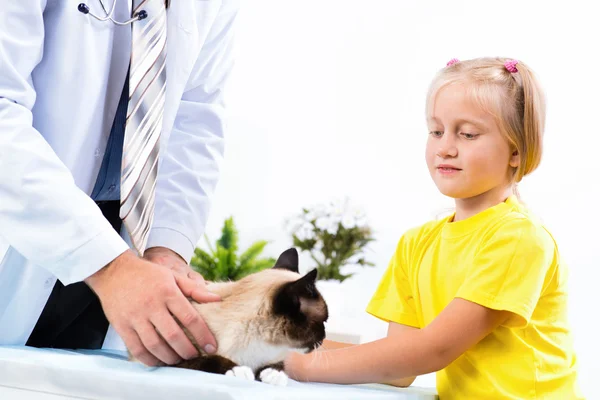 Gadis itu membawa kucing ke dokter hewan — Stok Foto