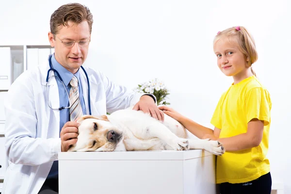 Fille tient un chien dans une clinique vétérinaire — Photo