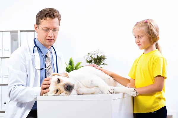 Menina detém um cão em uma clínica veterinária — Fotografia de Stock