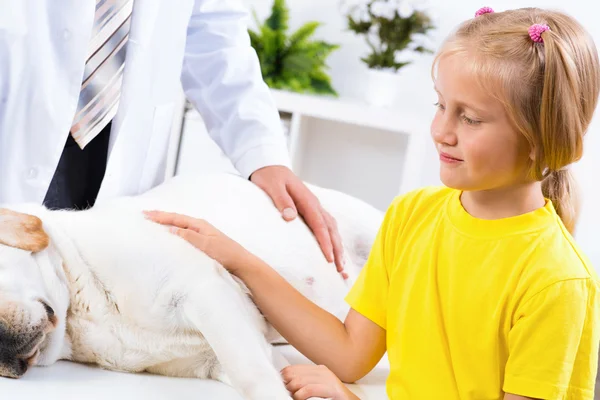 Fille tient un chien dans une clinique vétérinaire — Photo