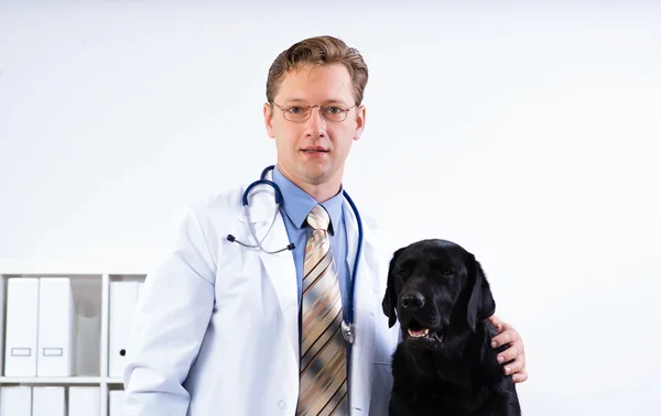 Portrait of a veterinarian — Stock Photo, Image