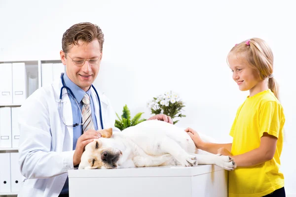 Fille tient un chien dans une clinique vétérinaire — Photo