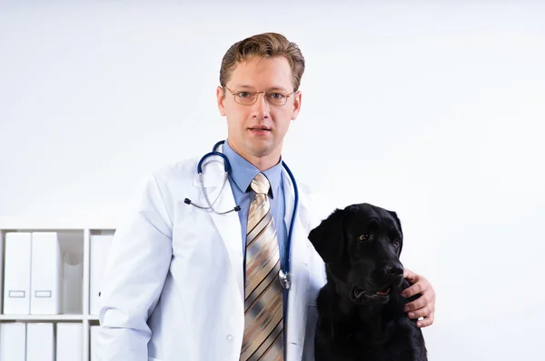 Porträtt av en veterinär — Stockfoto