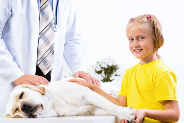 Fata deține un câine într-o clinică veterinară — Fotografie, imagine de stoc