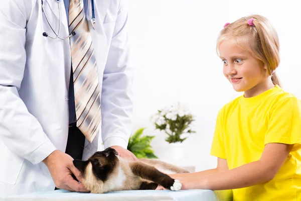 Flickan kom katten till veterinären — Stockfoto