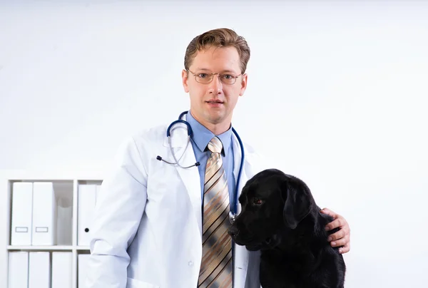 Portrait of a veterinarian — Stock Photo, Image