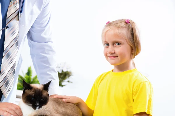 Meisje de kat naar de dierenarts gebracht — Stockfoto