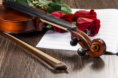 keman, gül ve müzik kitapları