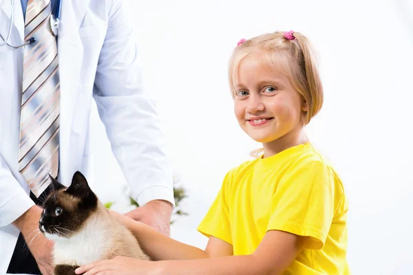 Medicul veterinar examinează o pisică — Fotografie, imagine de stoc